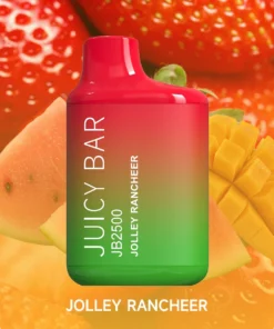 juicy bar disposable