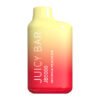 Juicy Bar JB5000